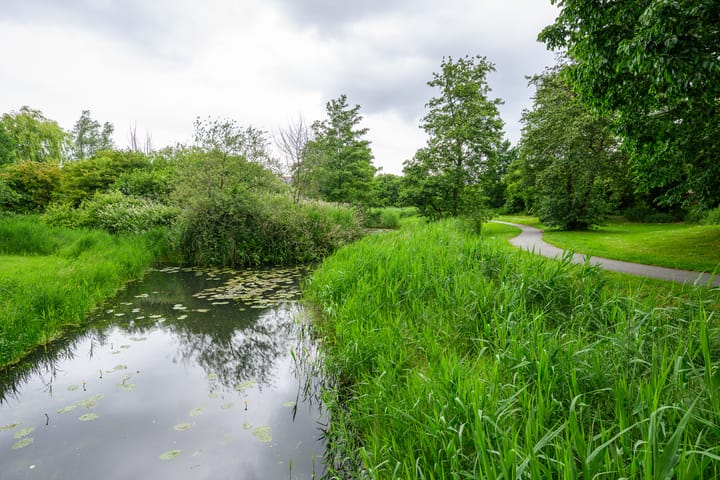 Foto 34 van Schoener 48 19