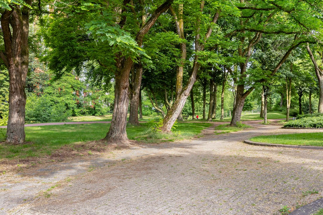 Foto 37 van Jan van Goyenlaan 10