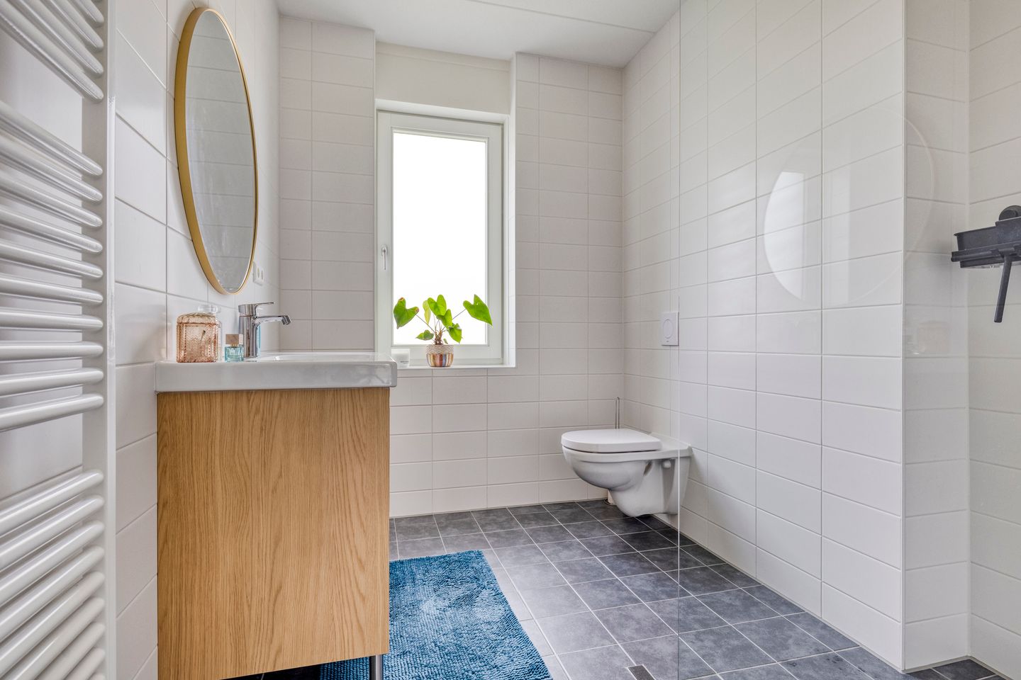 Foto 25 van Dokter Barnhoornstraat 21