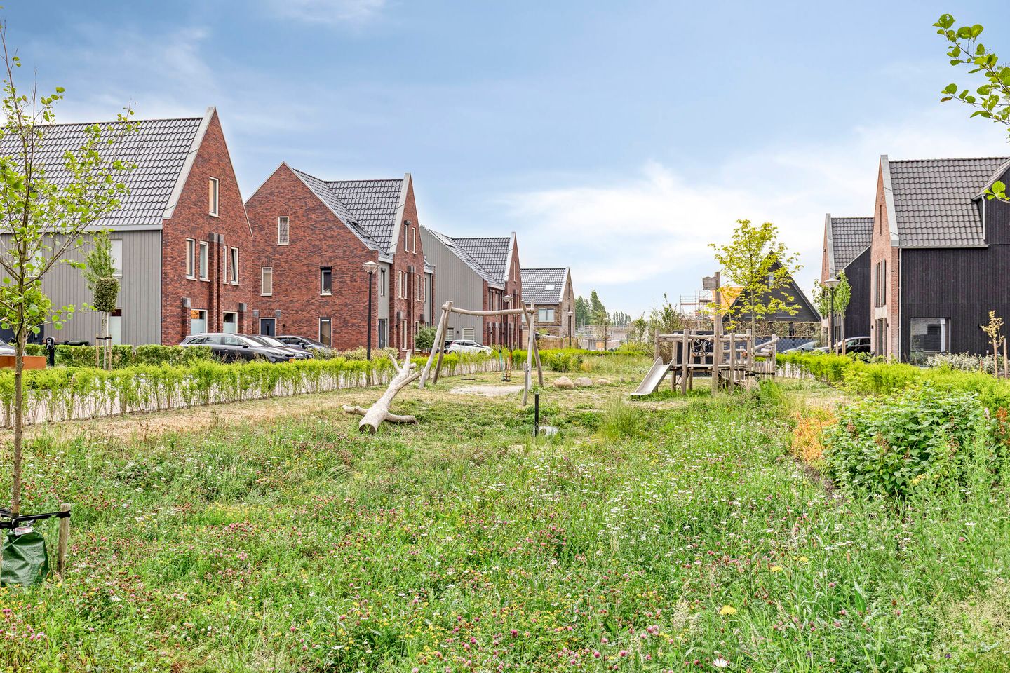 Foto 5 van Dokter Barnhoornstraat 21