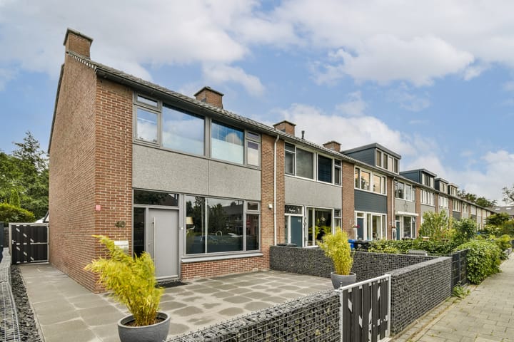 Foto 1 van Rijstgras 40