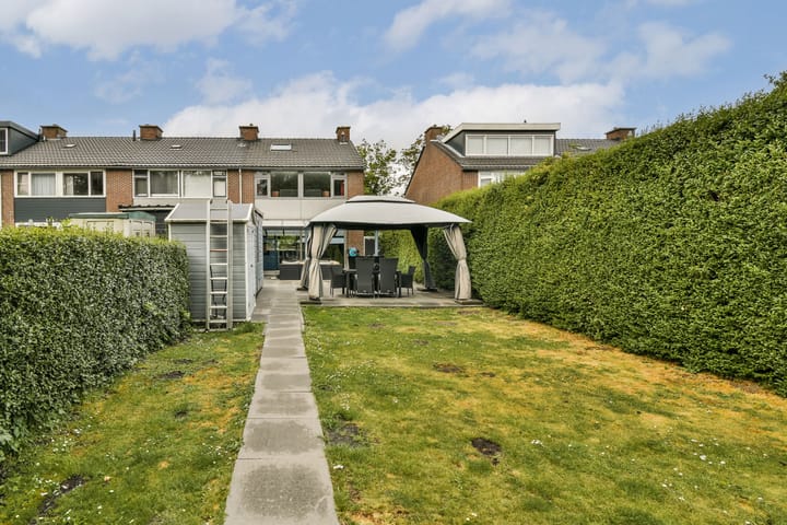 Foto 4 van Rijstgras 40