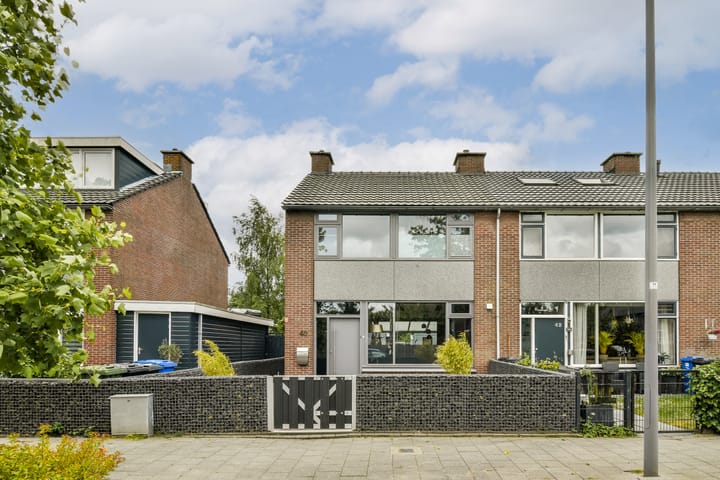 Foto 5 van Rijstgras 40