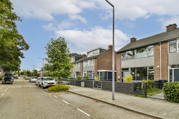 Foto 6 van Rijstgras 40