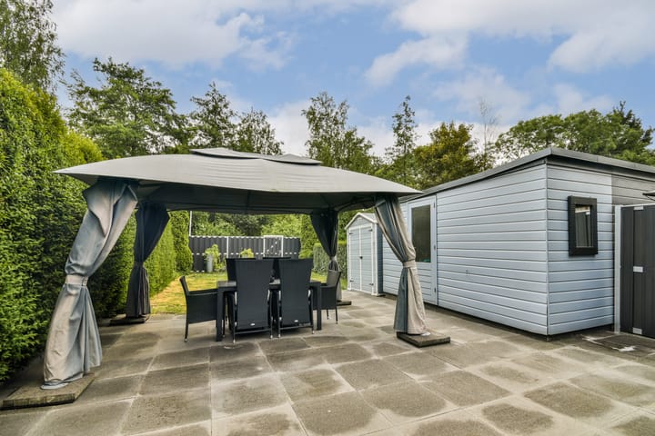 Foto 19 van Rijstgras 40