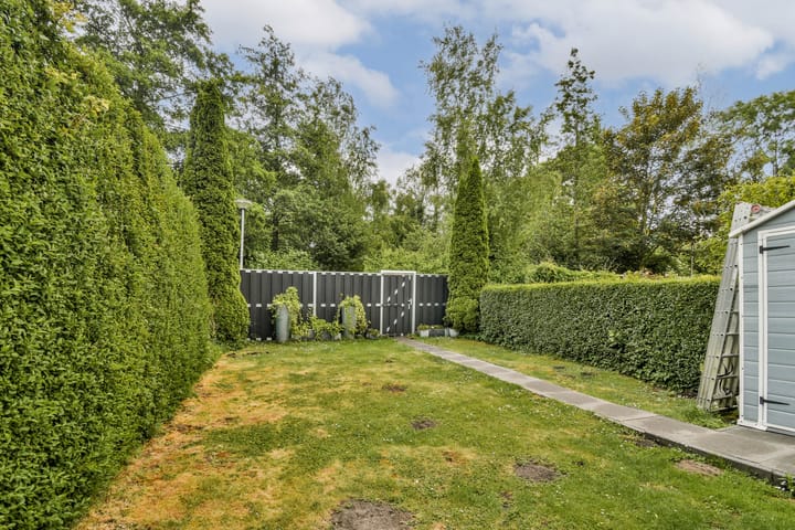 Foto 20 van Rijstgras 40