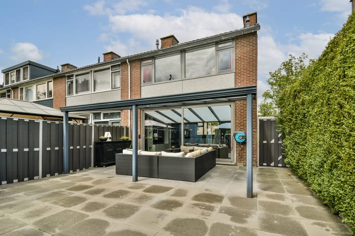 Foto 21 van Rijstgras 40