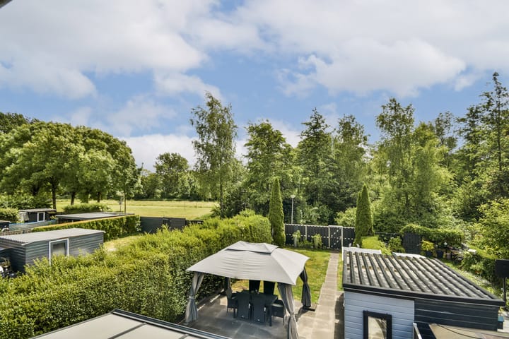 Foto 26 van Rijstgras 40