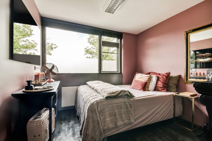 Foto 29 van Rijstgras 40