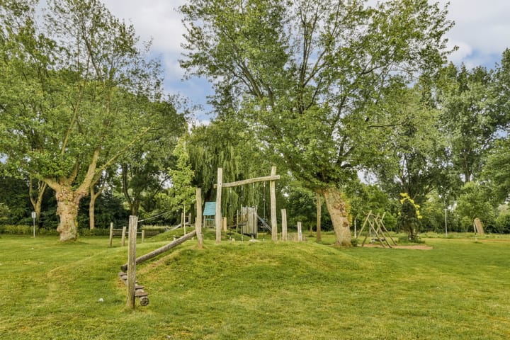 Foto 33 van Rijstgras 40