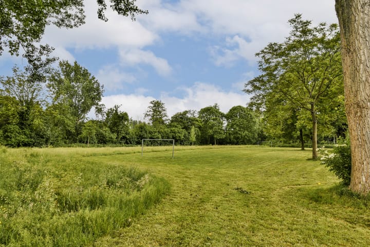 Foto 34 van Rijstgras 40