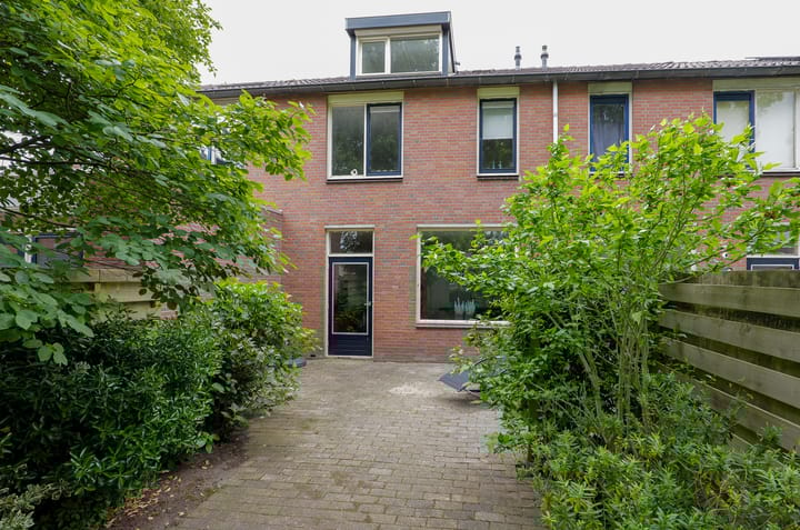 undefined main image