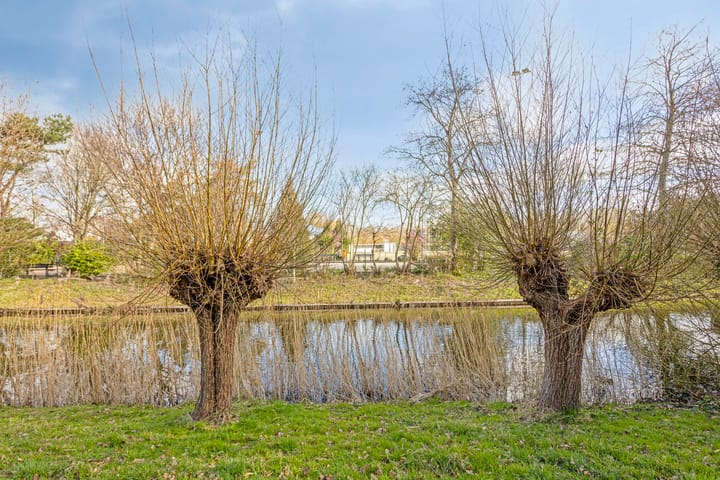 Foto 20 van Brouwerij 12