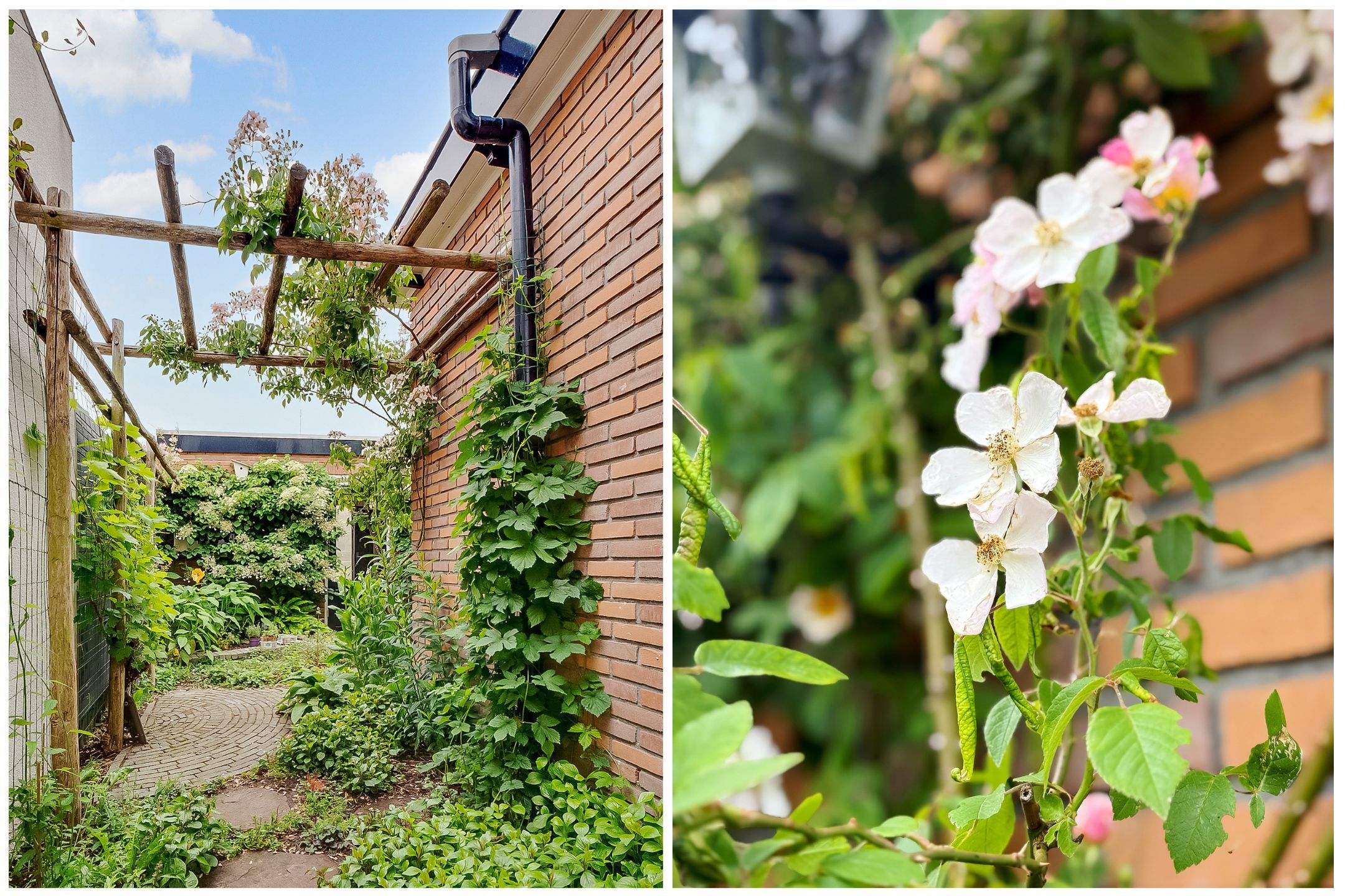 Foto 39 van Looydijk 93