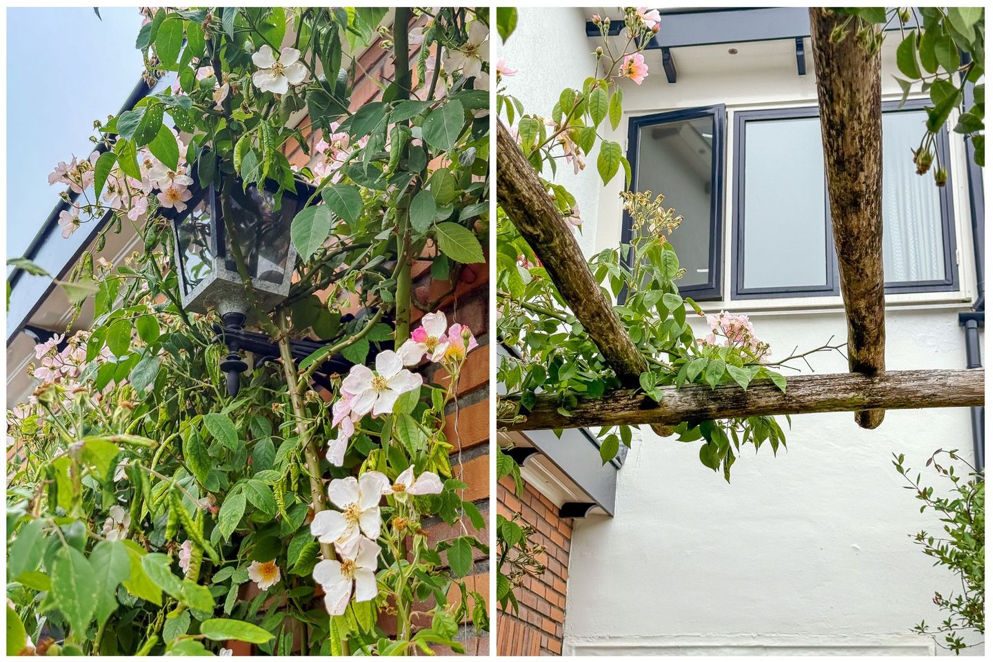 Foto 40 van Looydijk 93