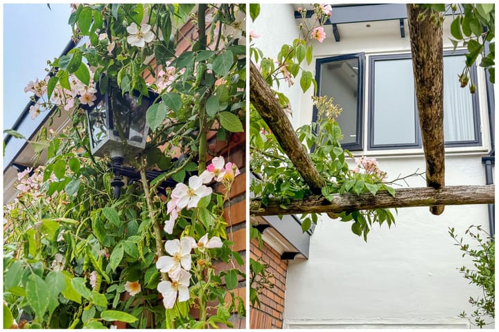 Foto 40 van Looydijk 93