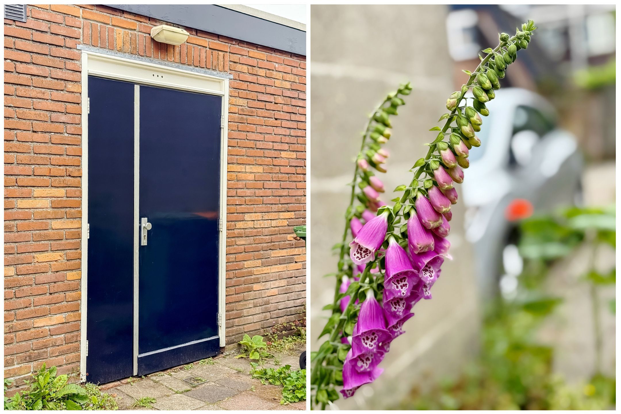 Foto 42 van Looydijk 93