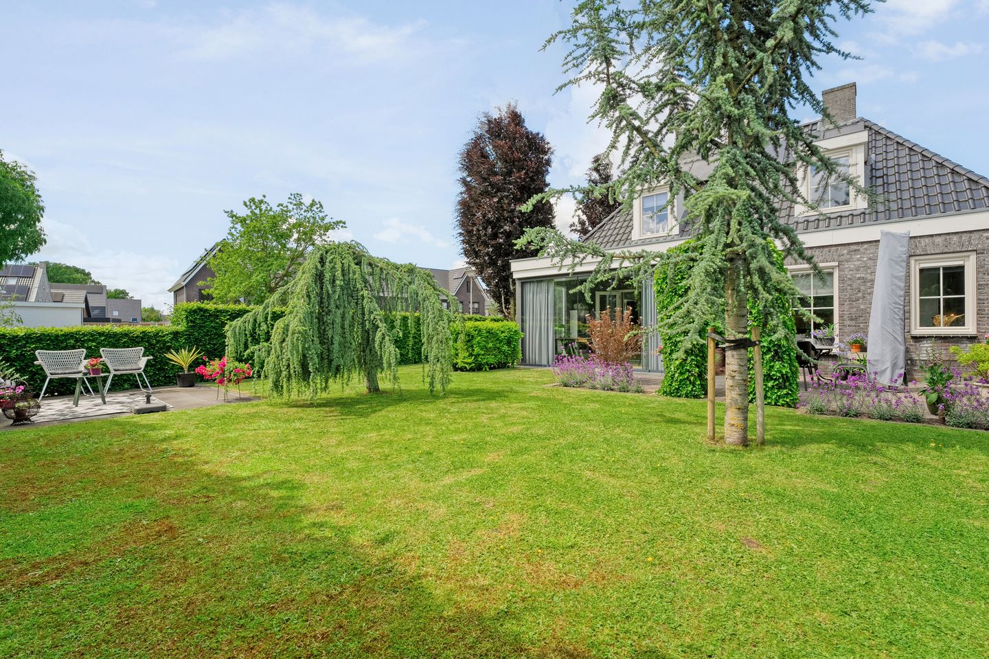 Foto 49 van Hooilanden 43