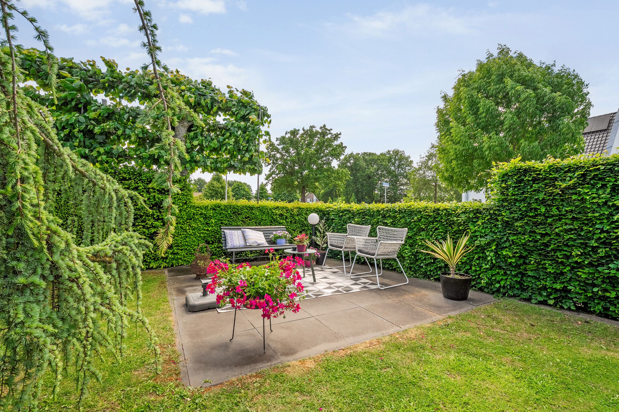 Foto 51 van Hooilanden 43