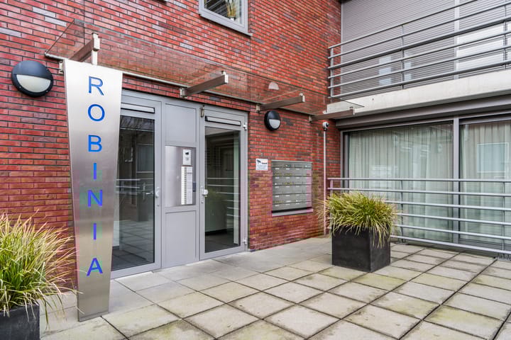 Foto 5 van Nachtschade 186