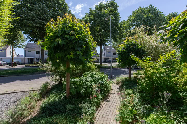 Foto 62 van Lombarts 4