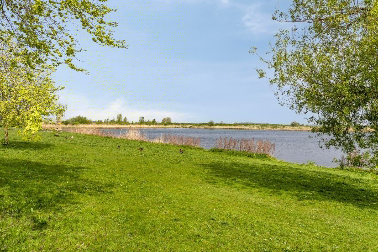 Photo 49 of Boelijn 14