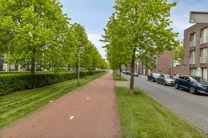 Photo 50 of Boelijn 14