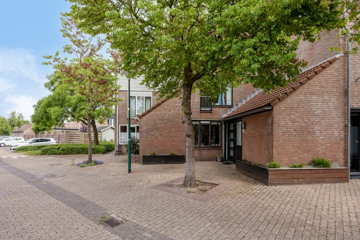 Foto 36 van Dissel 50