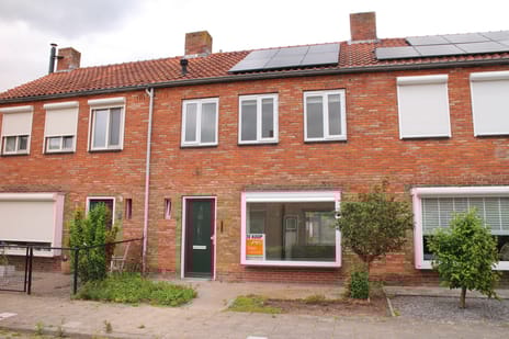 undefined main image