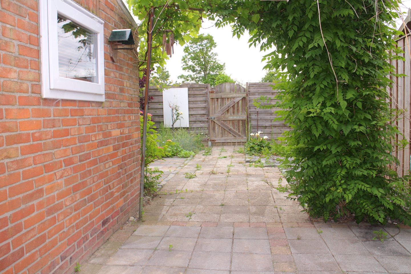 Foto 20 van Wilhelminastraat 3