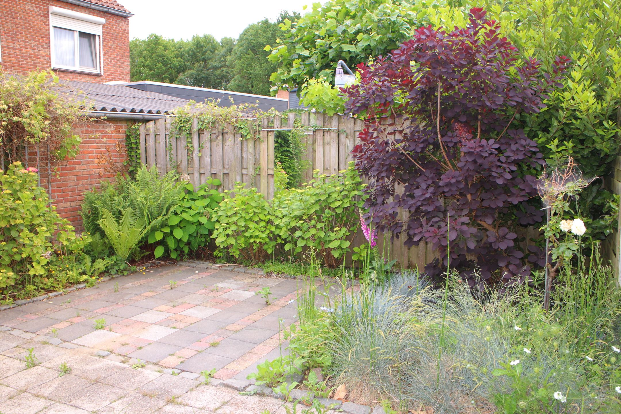 Foto 21 van Wilhelminastraat 3