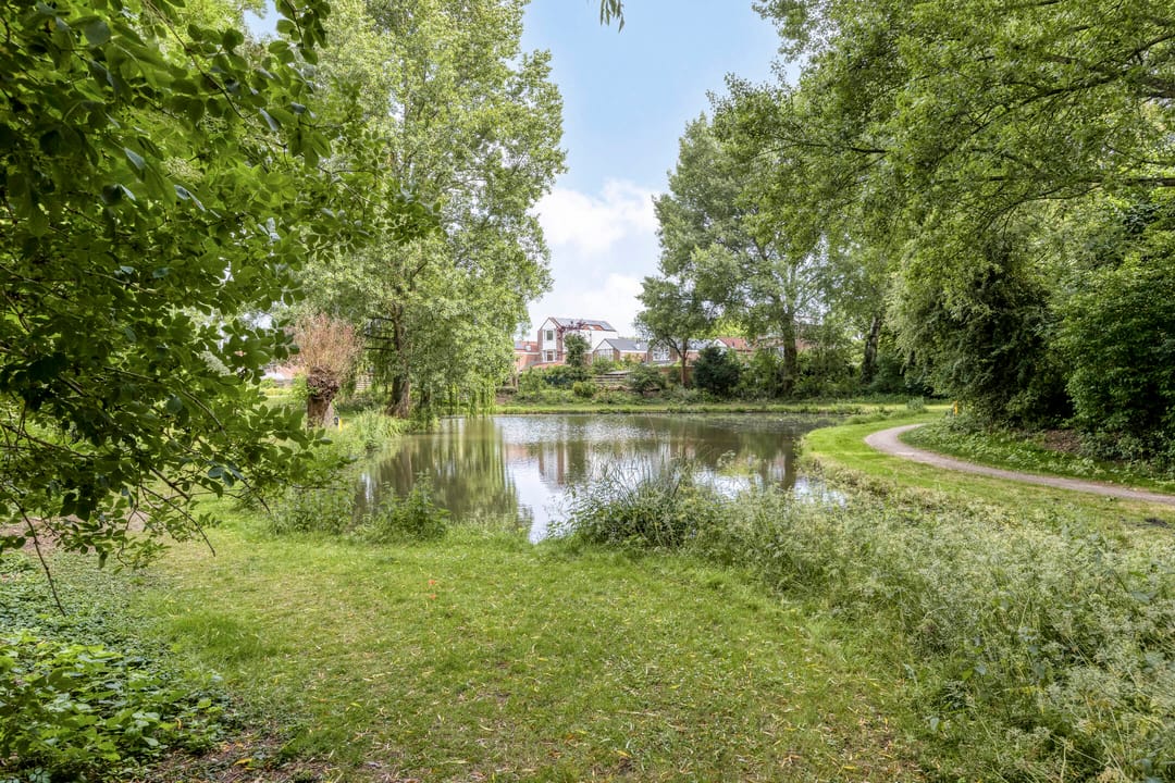 Foto 38 van Dissel 50