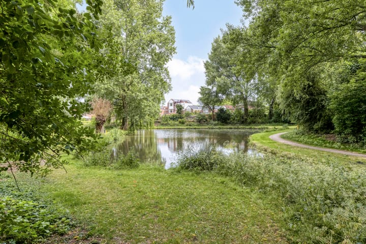 Foto 38 van Dissel 50