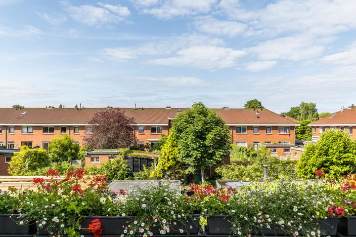 Foto 34 van Molenlaan 220