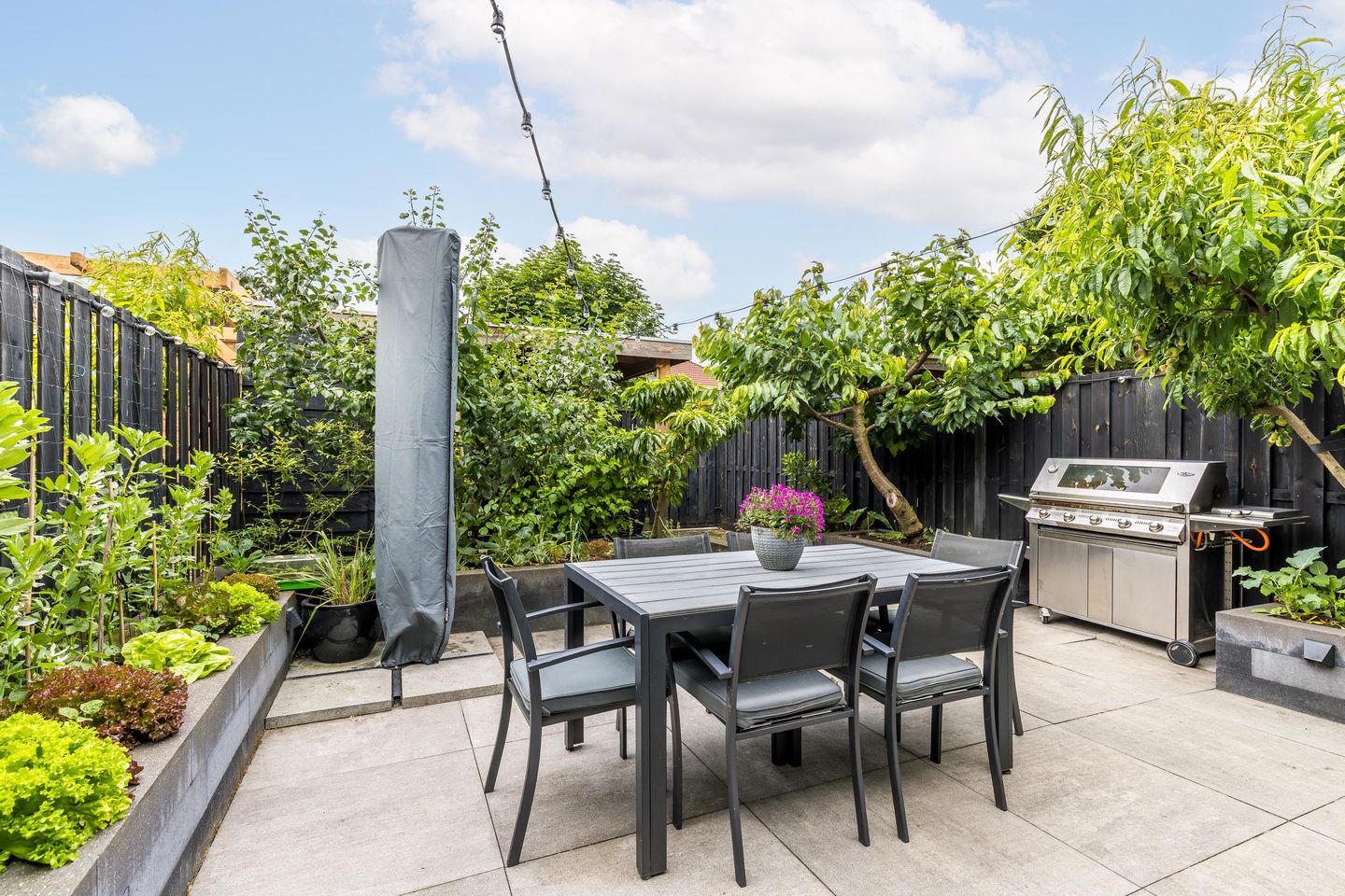 Photo 49 of Molenlaan 220