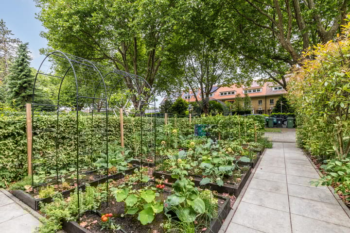 Foto 52 van Molenlaan 220