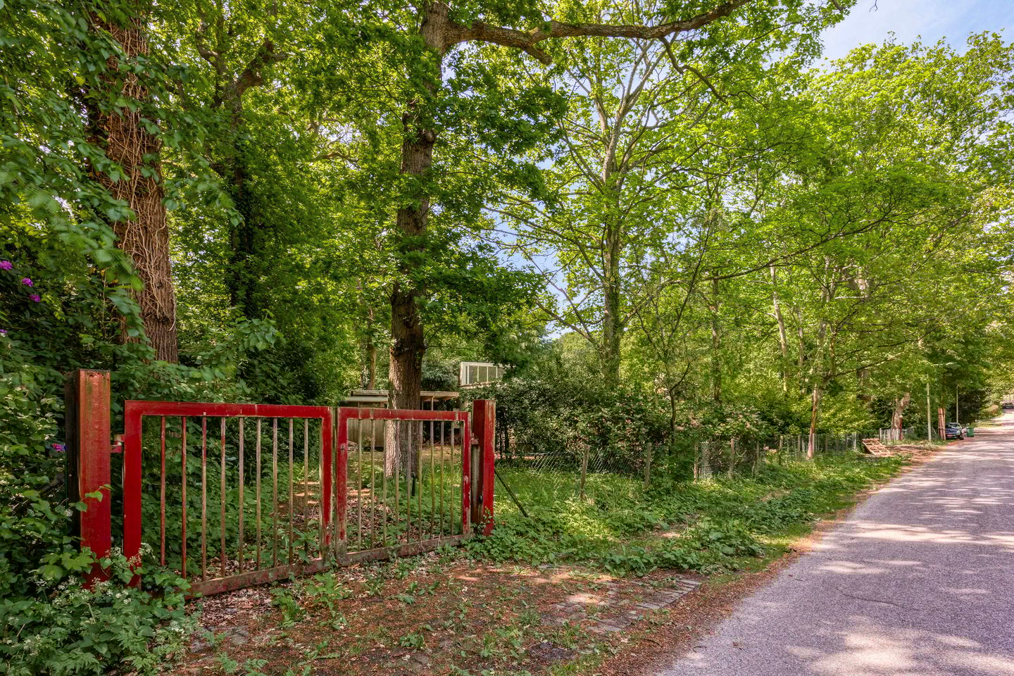 Foto 5 van Laan van Rhemen van Rhemenshuizen 3