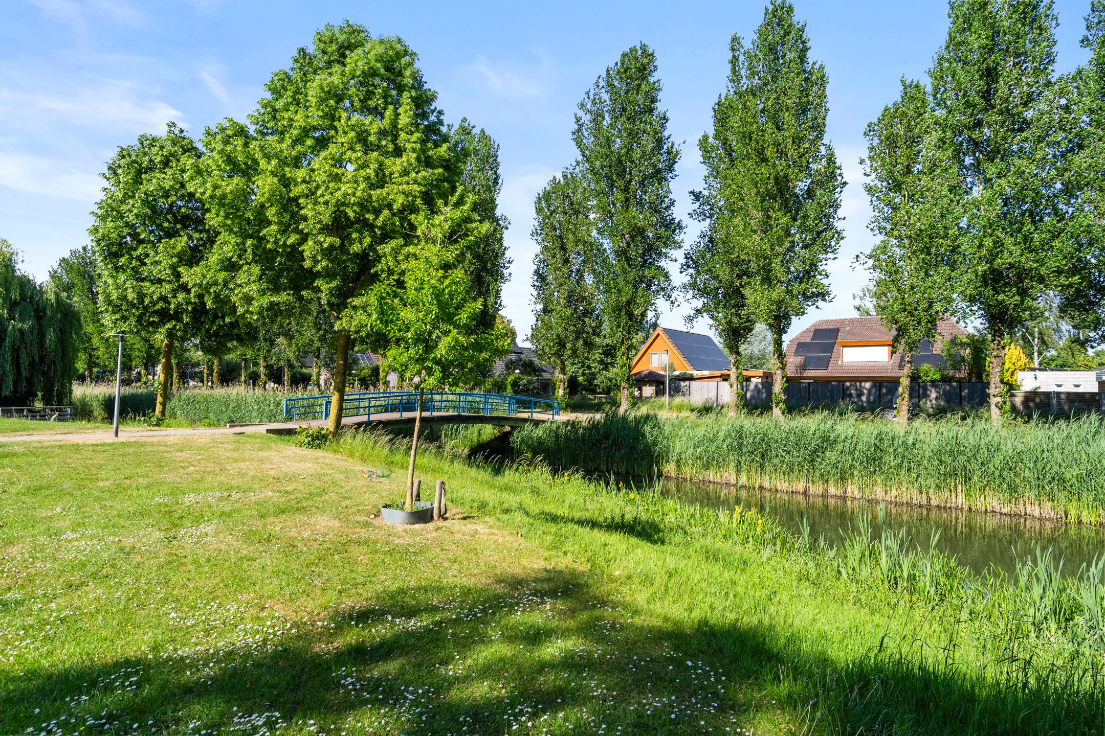 Foto 12 van Christiaan van Abkoudeplantsoen 35