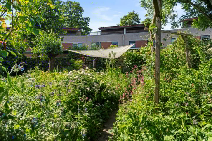 Photo 18 of Christiaan van Abkoudeplantsoen 35