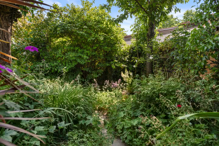 Photo 21 of Christiaan van Abkoudeplantsoen 35