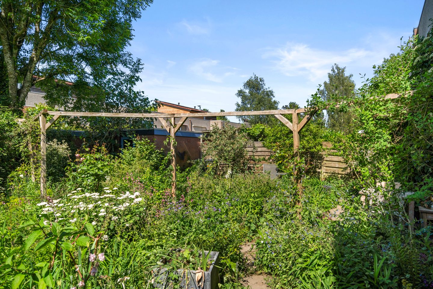 Foto 19 van Christiaan van Abkoudeplantsoen 35