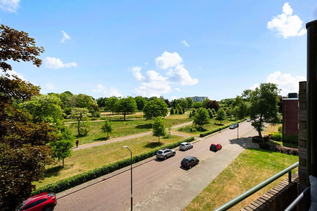 Foto 2 van Albardastraat 54