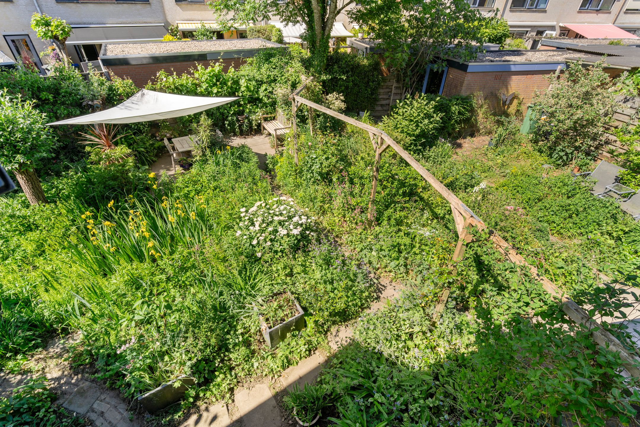 Foto 48 van Christiaan van Abkoudeplantsoen 35