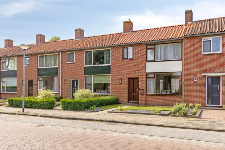 undefined main image