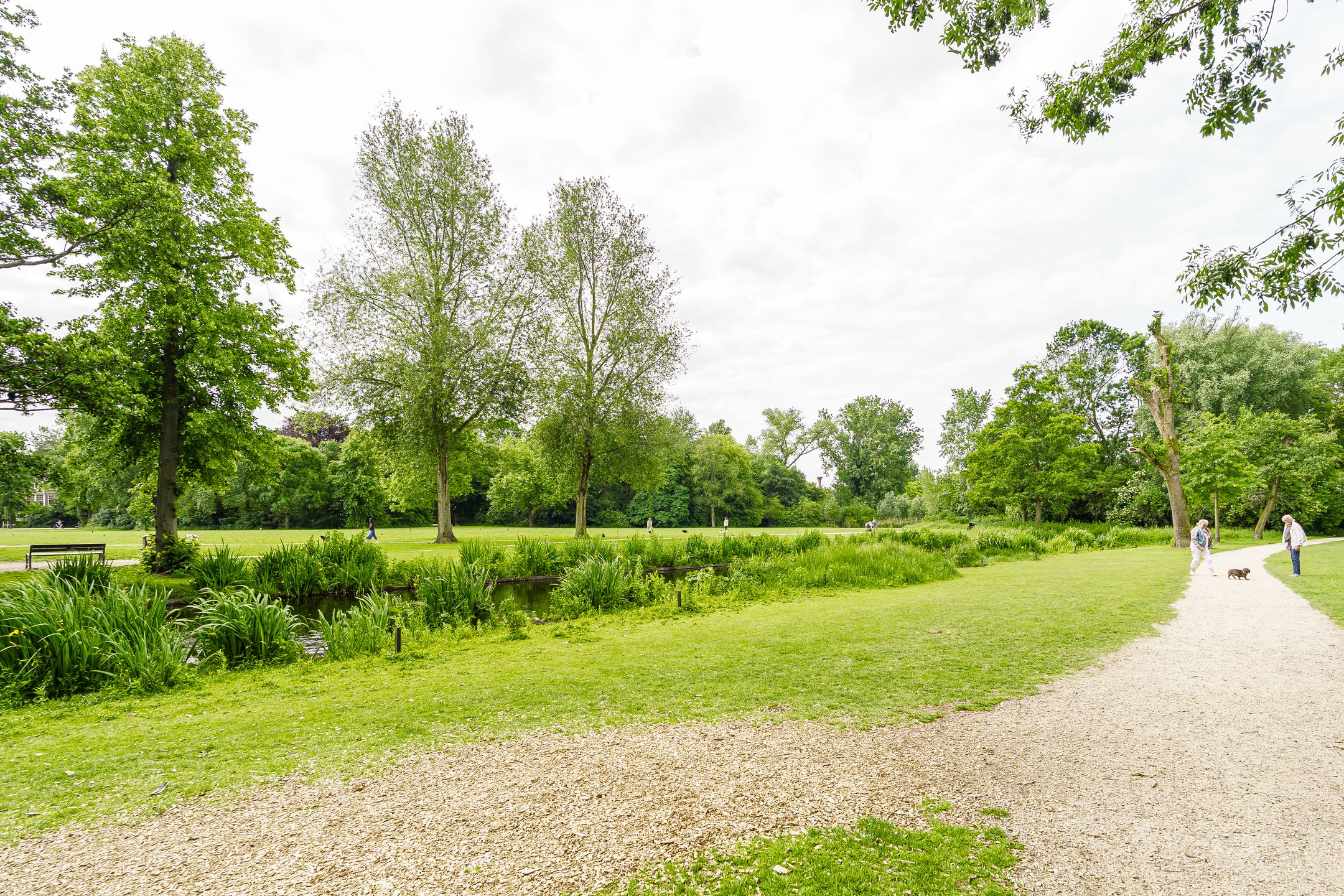 Foto 27 van Wilhelminastraat 83-2