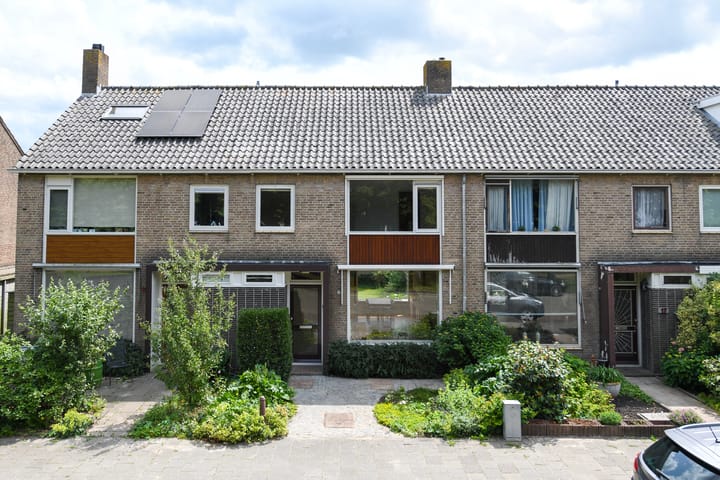 undefined main image