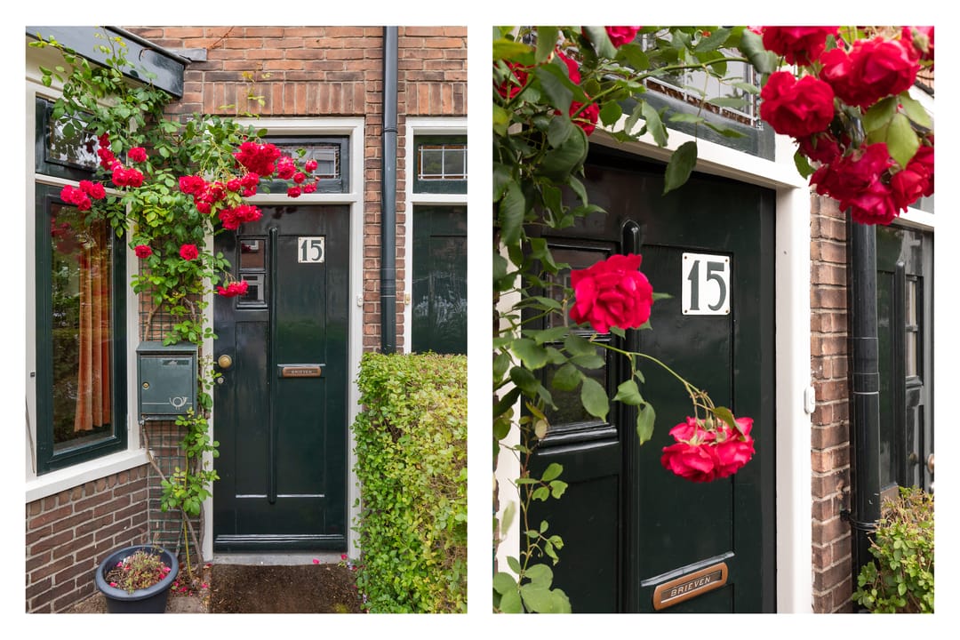 Foto 2 van Coornhertstraat 15