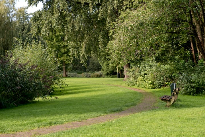 Photo 29 of Coornhertstraat 15