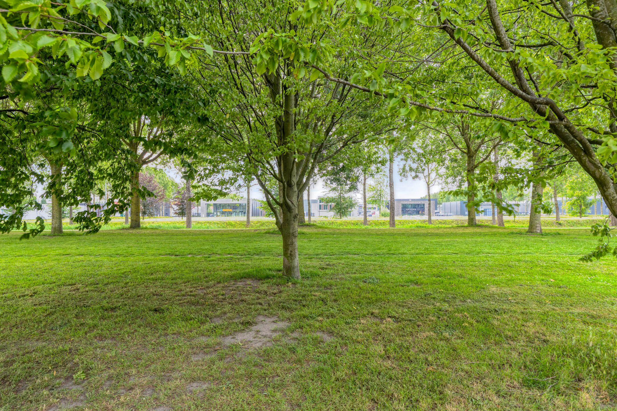 Foto 36 van Henriëtte Roland Holstlaan 53