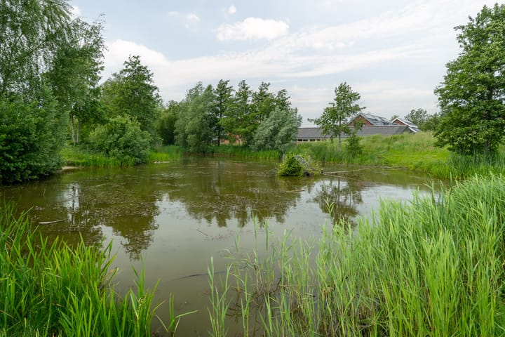 Foto 35 van Hoppemastate 17